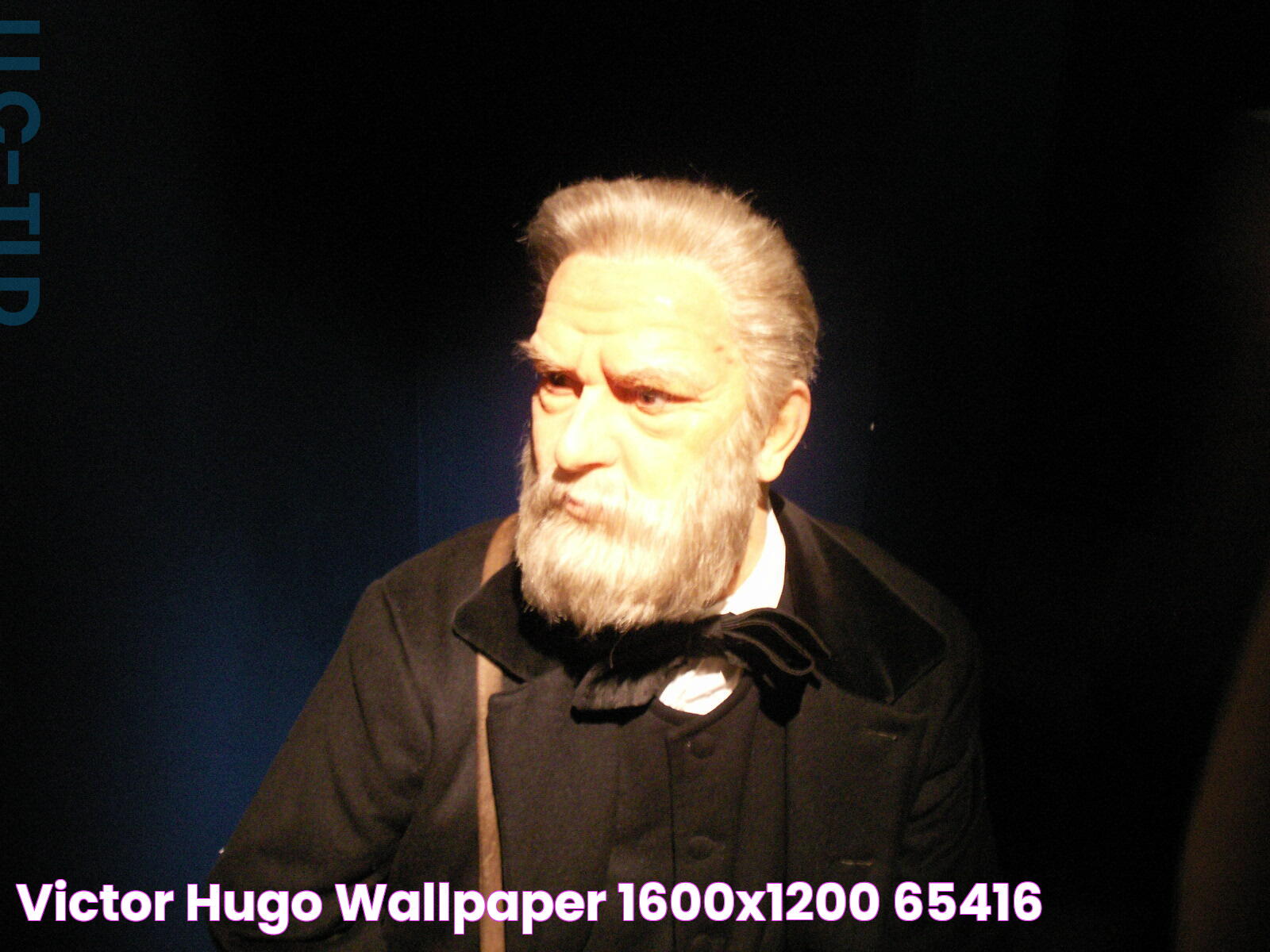 Victor Hugo: A Timeless Literary Genius