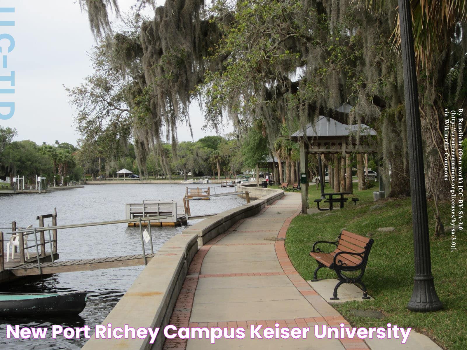 Discover The Hidden Charms Of New Port Richey: A Guide To This Coastal Gem