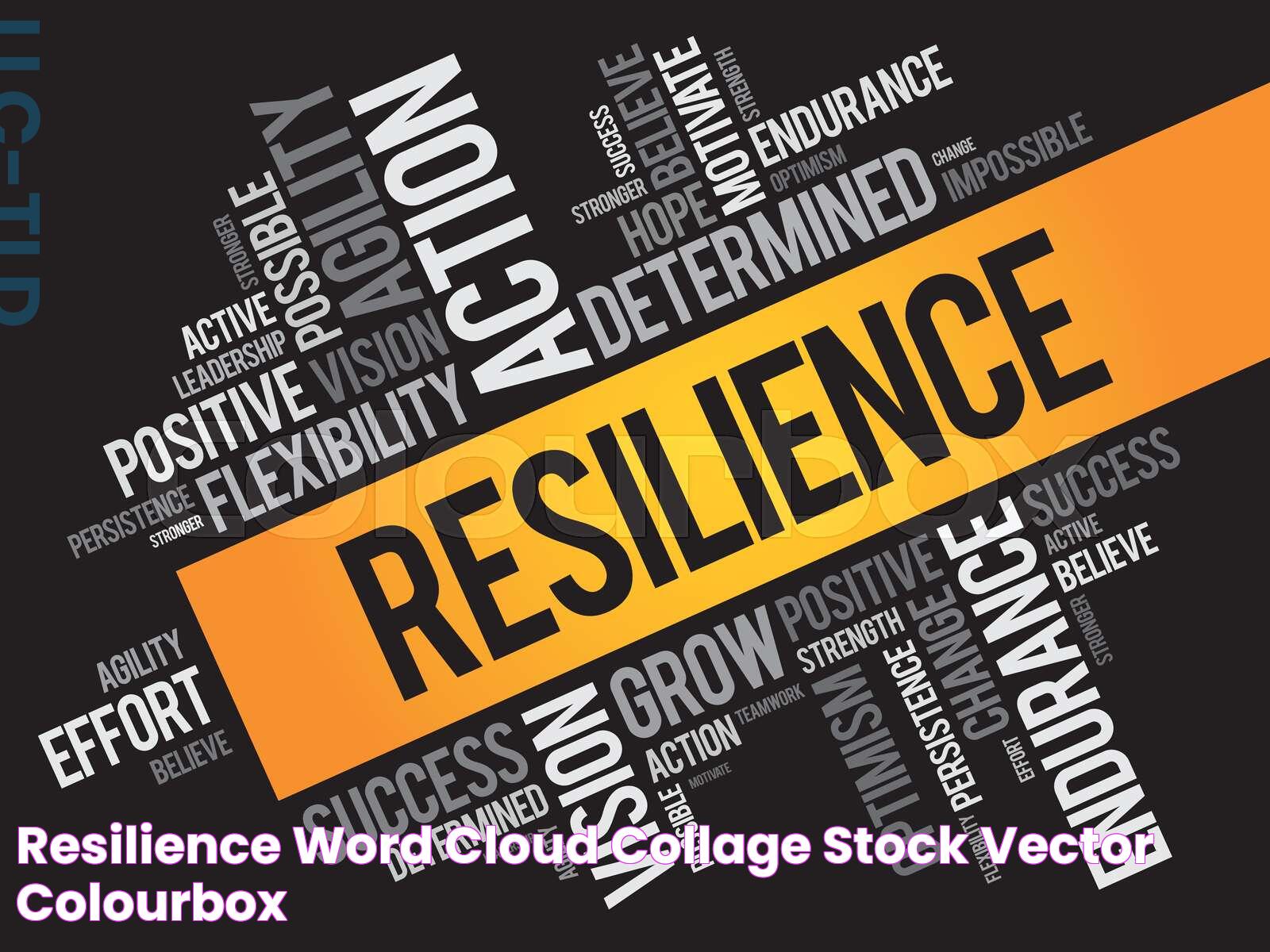 Empowering Words: The Resilience Synonym Exploration