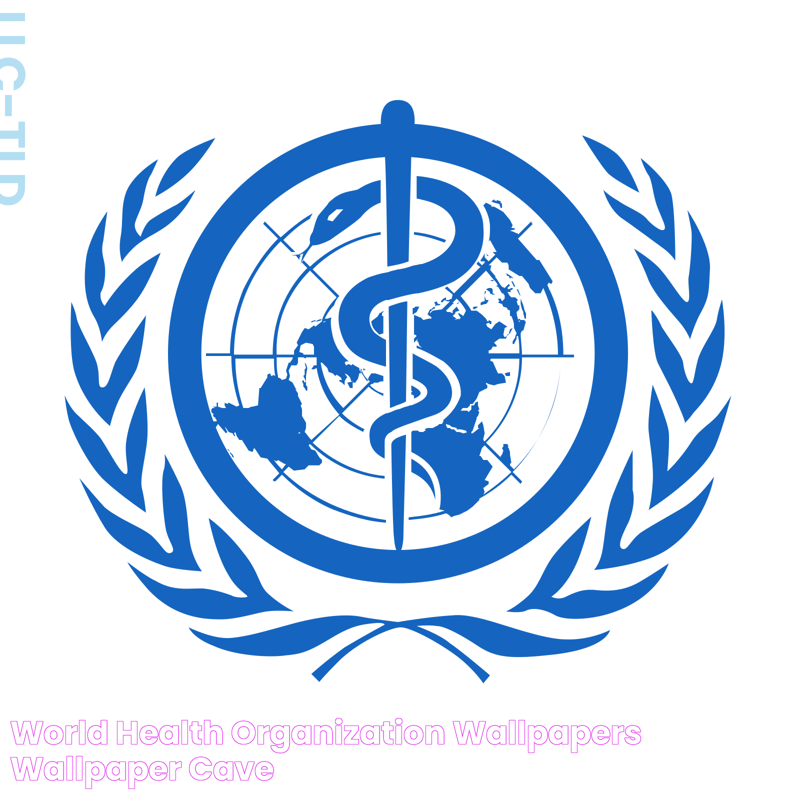 Global Influence And Initiatives Of The World Health Organization